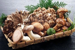 Những thực phẩm nên tránh khi bị loãng xương