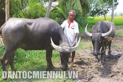 Hậu Giang hỗ trợ đất ở, đất sản xuất cho hộ nghèo