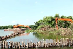 Hải Dương tu bổ, tôn tạo di tích Khu danh thắng Quốc gia Đảo Cò