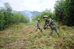 Bộ đội Đắk Nông trồng rừng phủ xanh đất trống đồi trọc
