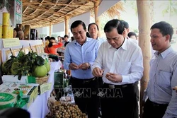 Gần 365.000 tỷ đồng xây dựng nông thôn mới tại vùng Duyên hải Nam Trung Bộ và Tây Nguyên
