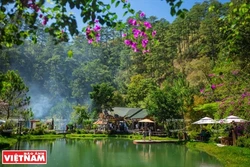 Huyền bí Ma Rừng lữ quán
