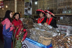 Khai mạc hội chợ đặc sản vùng miền Việt Nam