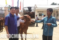 Vĩnh Long tạo sinh kế bền vững cho các hộ nghèo dân tộc Khmer