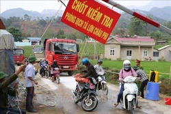 Lai Châu thành lập các tổ công tác di động phòng, chống dịch tả lợn châu Phi