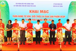Các đại biểu cắt băng khai mạc Tuần hàng tư vấn, giới thiệu và bán sản phẩm OCOP thành phố Hà Nội năm 2022.