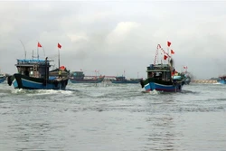 Các tàu cá vươn khơi đánh bắt đầu Xuân mới. Ảnh: Đỗ Trưởng - TTXVN