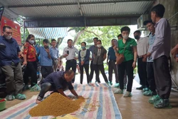 Lớp tập huấn tham quan mô hình thực tế chăn nuôi gà theo hướng an toàn hữu cơ tại Hợp tác xã Yên Hòa Phú thuộc xã Đông Yên, huyện Quốc Oai (Hà Nội).