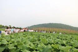 Hà Nội xây dựng nông thôn mới ở vùng dân tộc và miền núi