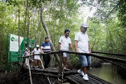 Du khách tham gia tour xuyên rừng Đất Mũi Cà Mau. Ảnh: Hồng Đạt - TTXVN