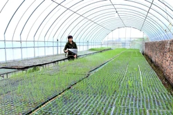 Hợp tác xã sản xuất rau hữu cơ Cuối Quý thuộc xã Đan Phượng, huyện Đan Phượng (Hà Nội) là một trong 125 mô hình sản xuất nông nghiệp tiêu biểu toàn quốc và là 1 dự án nông nghiệp xuất sắc lọt vào vòng chung kết cuộc thi "Tôi là nông dân 4.0”.