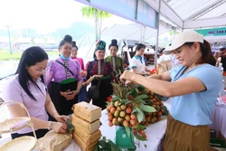 Khách tham quan gian hàng tại Festival trái cây và sản phẩm OCOP năm 2022. Ảnh: Quang Quyết - TTXVN