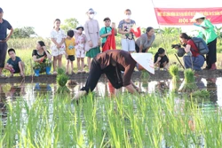 Hội thi cấy diễn ra tại khu vực ruộng trước cửa đình Cốc với sự cổ vũ sôi nổi của người dân. Ảnh: Thanh Vân - TTXVN