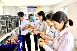 Kiểm tra chất lượng an toàn thực phẩm nông, lâm, thủy sản trên địa bàn Hà Nội.