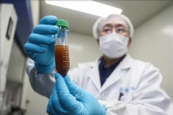 Dịch COVID-19: Vaccine phòng bệnh đã đạt thành công bước đầu trong quá trình thử nghiệm