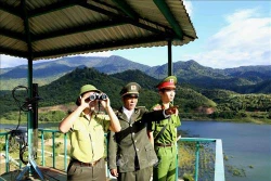 Ban hành Chỉ thị 1299 về tăng cường phòng cháy, chữa cháy rừng