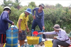 Kiên Giang xử lý các ổ dịch bệnh trên vùng nuôi tôm