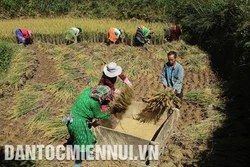 Đổi thay trong đời sống người Mông ở Mèo Vạc