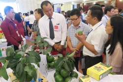 Hội nghị kết nối cung cầu khu vực miền Trung - Tây Nguyên