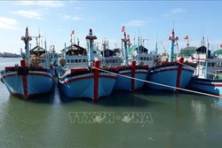 Ninh Thuận xây dựng nghề cá phát triển bền vững