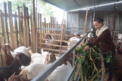 Quả ngọt từ phong trào tiết kiệm tại huyện Cư M’gar