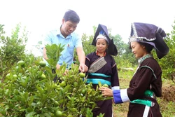 Lào Cai chú trọng đào tạo nghề, tạo sinh kế cho lao động vùng cao