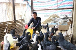 Đồng hành cùng nông dân làm giàu