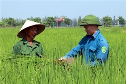 Những chính sách mới nổi bật có hiệu lực trong tháng 2/2023
