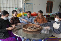 Cần nhiều cơ chế hỗ trợ hoạt động của hợp tác xã