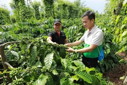 Đắk Lắk xây dựng nền nông nghiệp đa giá trị