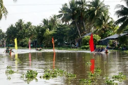Tổ chức đua ghe ngo mừng Tết Chôl Chnăm Thmây ở Kiên Giang