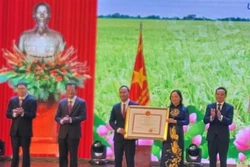 Huyện đạt chuẩn nông thôn mới từ phát triển sản xuất nông nghiệp gắn với du lịch, dịch vụ