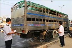 Ban Bí thư ban hành Chỉ thị về thực hiện hiệu quả công tác phòng, chống, khống chế bệnh dịch tả lợn châu Phi