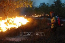 Cháy hơn 15 ha rừng phòng hộ ven biển Quảng Bình