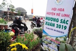 Mê Linh nâng cao đời sống nông dân từ nghề trồng hoa