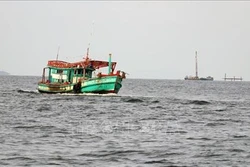 Kiên Giang kiên quyết không cho ra khơi tàu cá chưa đăng ký đăng kiểm