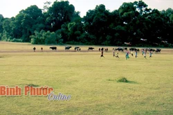 Trảng cỏ Bù Lạch thuộc địa phận xã Đồng Nai, huyện Bù Đăng, tỉnh Bình Phước, cách thành phố Đồng Xoài khoảng 70km. Đây là một khu “phức hợp” gồm những cánh đồng cỏ rộng lớn xanh mướt trải dài cùng với hồ nước tự nhiên nằm lọt giữa những cánh rừng nguyên sinh tạo thành một bức tranh thiên nhiên vô cùng thơ mộng và sinh động. Ảnh: baobinhphuoc.com.vn