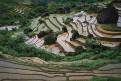 Ruộng bậc thang quanh co, uốn lượn theo sườn núi. Ảnh: Nguyễn Oanh-TTXVN