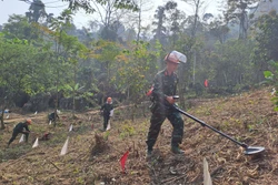 Nỗ lực rà phá bom mìn trên tuyến biên giới Hà Giang