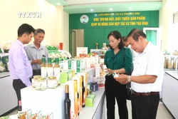 Các đại biểu tham quan tìm hiểu các sản phẩm OCOP và nông sản. Ảnh: Thanh Hòa - TTXVN