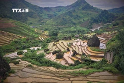 Vẻ đẹp của những thửa ruộng bậc thang Khun Há, huyện Tam Đường, tỉnh Lai Châu vào mùa nước đổ. Ảnh: Nguyễn Oanh-TTXVN
