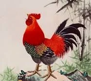 Con gà trong đời sống người Tày, Nùng