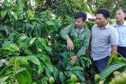 Ông Đỗ Anh Tuấn (trái) - Bí thư chi bộ kiêm trưởng thôn Đăk Wơk Yốp, xã Hơ Moong (huyện Sa Thầy) - chia sẻ kinh nghiệm sản xuất cho cán bộ, nhân dân trên địa bàn. Ảnh: baokontum.com.vn