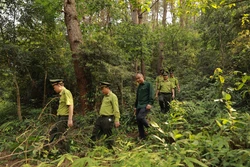 Chi cục Kiểm lâm Vĩnh Phúc tổ chức tuần tra, bảo vệ tại khu rừng phòng hộ xã Minh Quang, huyện Bình Xuyên. Ảnh: Vũ Sinh – TTXVN