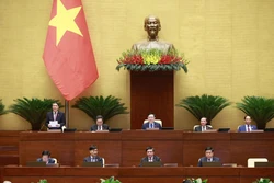 Phó Chủ tịch Quốc hội Nguyễn Đức Hải phát biểu. Ảnh: Doãn Tấn - TTXVN