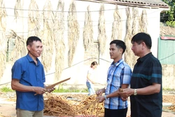 Trưởng thôn Đoàn Xuân Quý vận động đồng bào có đạo sống "tốt đời, đẹp đạo"
