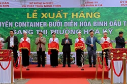 Hoà Bình xuất khẩu 48 tấn bưởi Diễn đầu tiên sang thị trường Hoa Kỳ