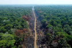 Khoảng rừng Amazon bị chặt phá tại Humaitá, bang Amazonas, Brazil, ngày 16/9/2022. Ảnh: AFP/TTXVN