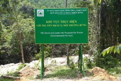 Hội thảo chia sẻ kinh nghiệm sử dụng tiền chi trả dịch vụ môi trường rừng