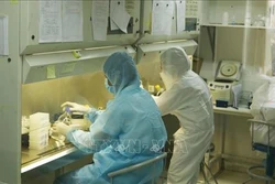 Những “lá chắn thép” trong đại dịch COVID-19: Bài cuối